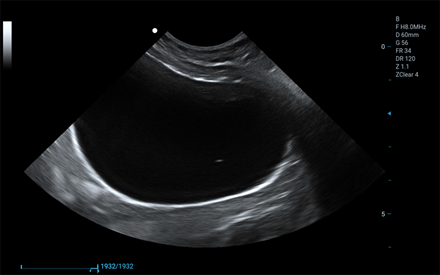 3C5PDS - 3C5PDS -