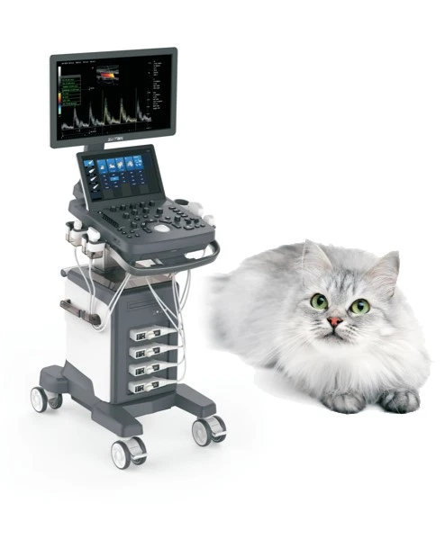 Sistema ecografico Doppler a colori veterinario