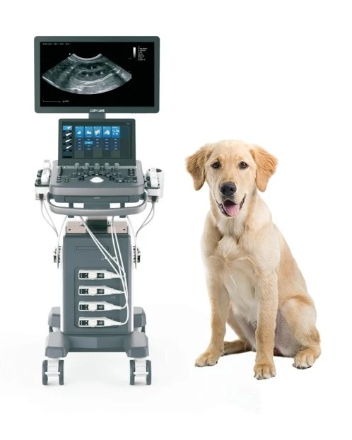 Sistema ecografico Doppler a colori veterinario